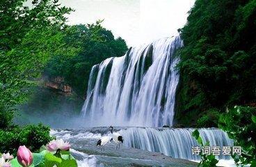 白向军的致富“新密码”