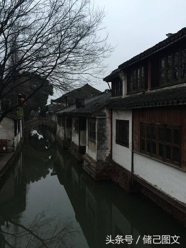 特种突击聪明的顺溜